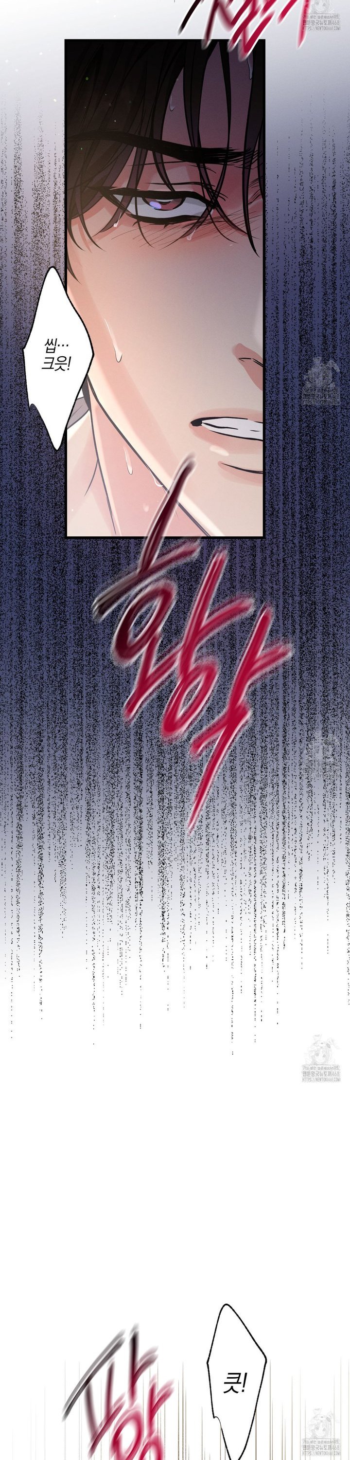 1744557421511xyxevirbbej.jpg