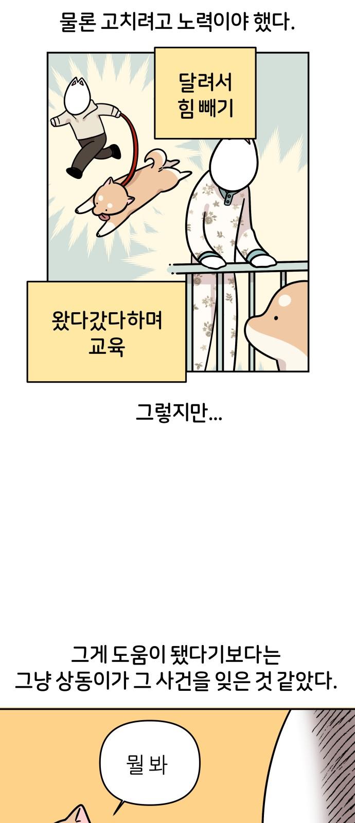 1744759819511hpb5qydxqj.jpg