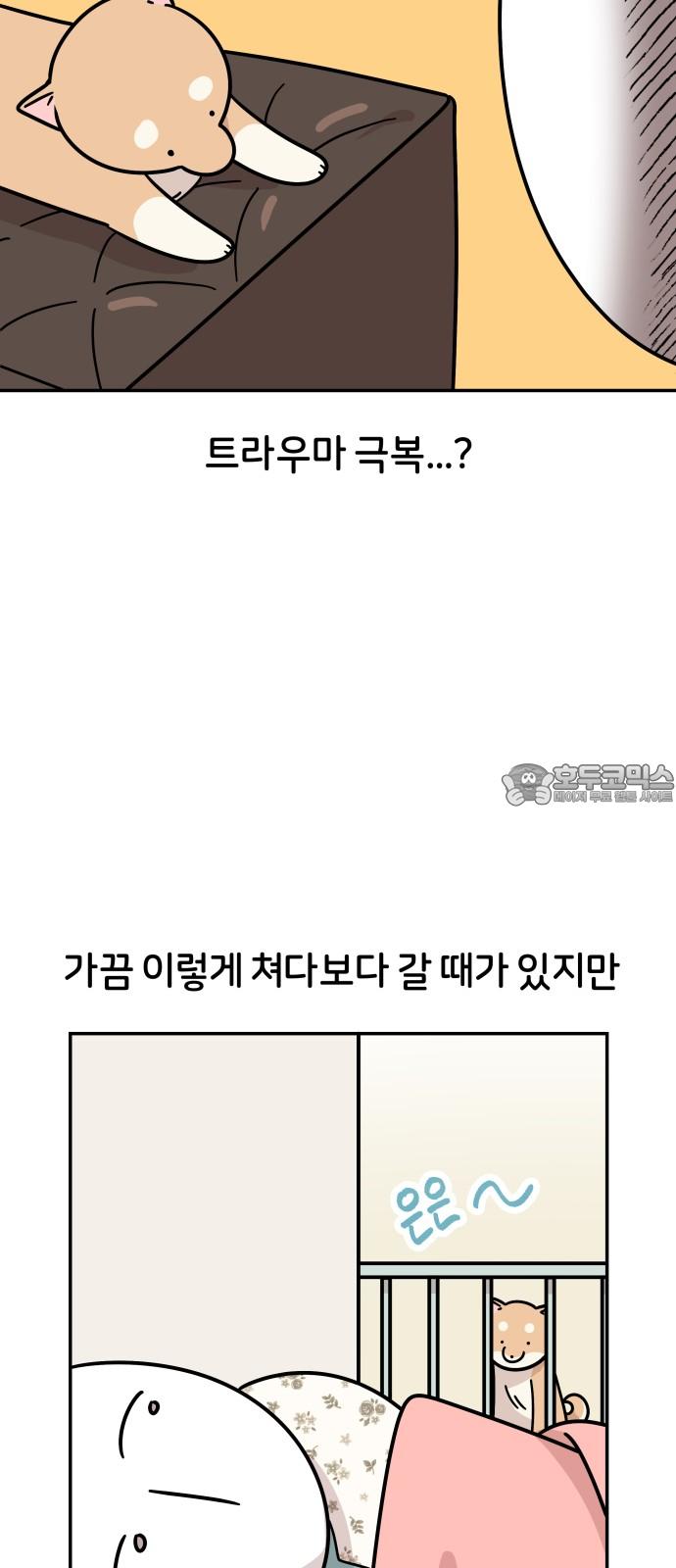 1744759819667qndn55ljhz.jpg