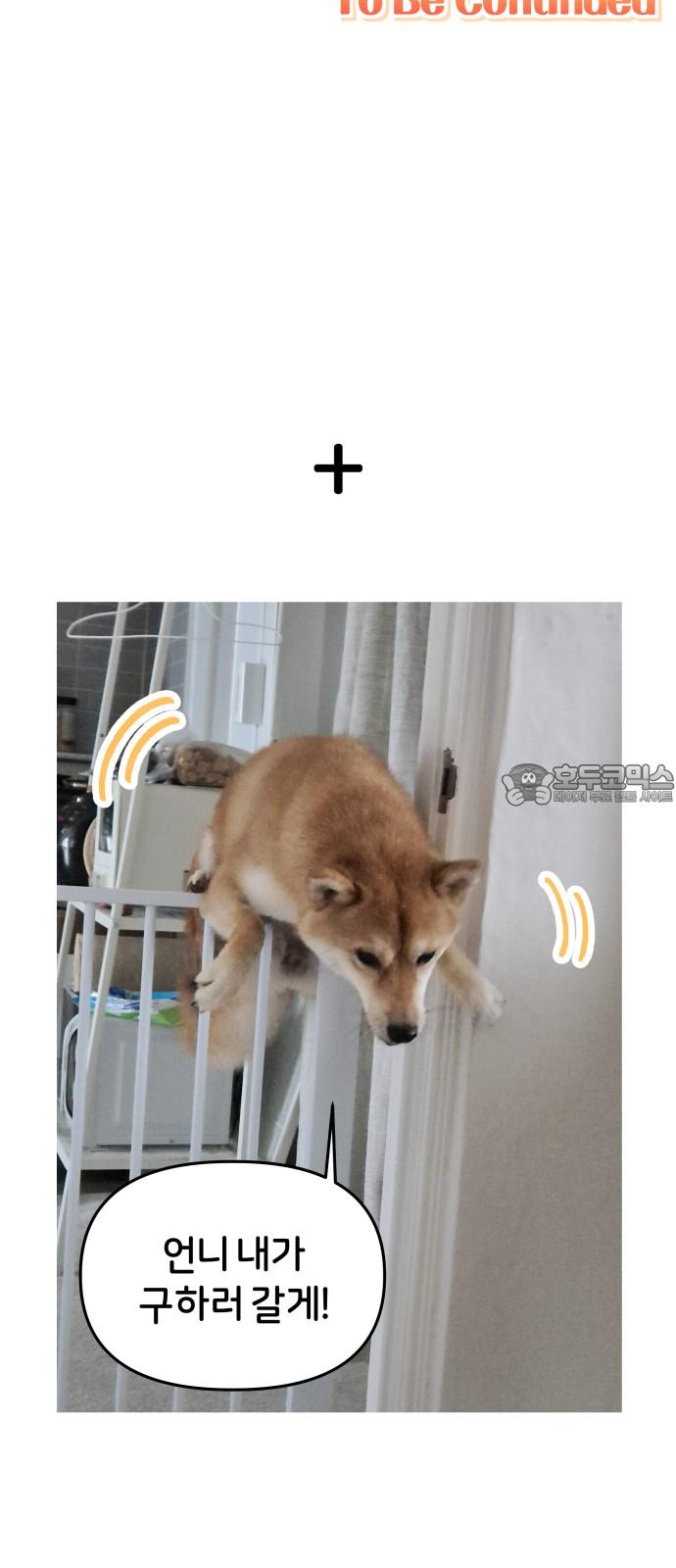 17447598201380moeylkbzzg.jpg