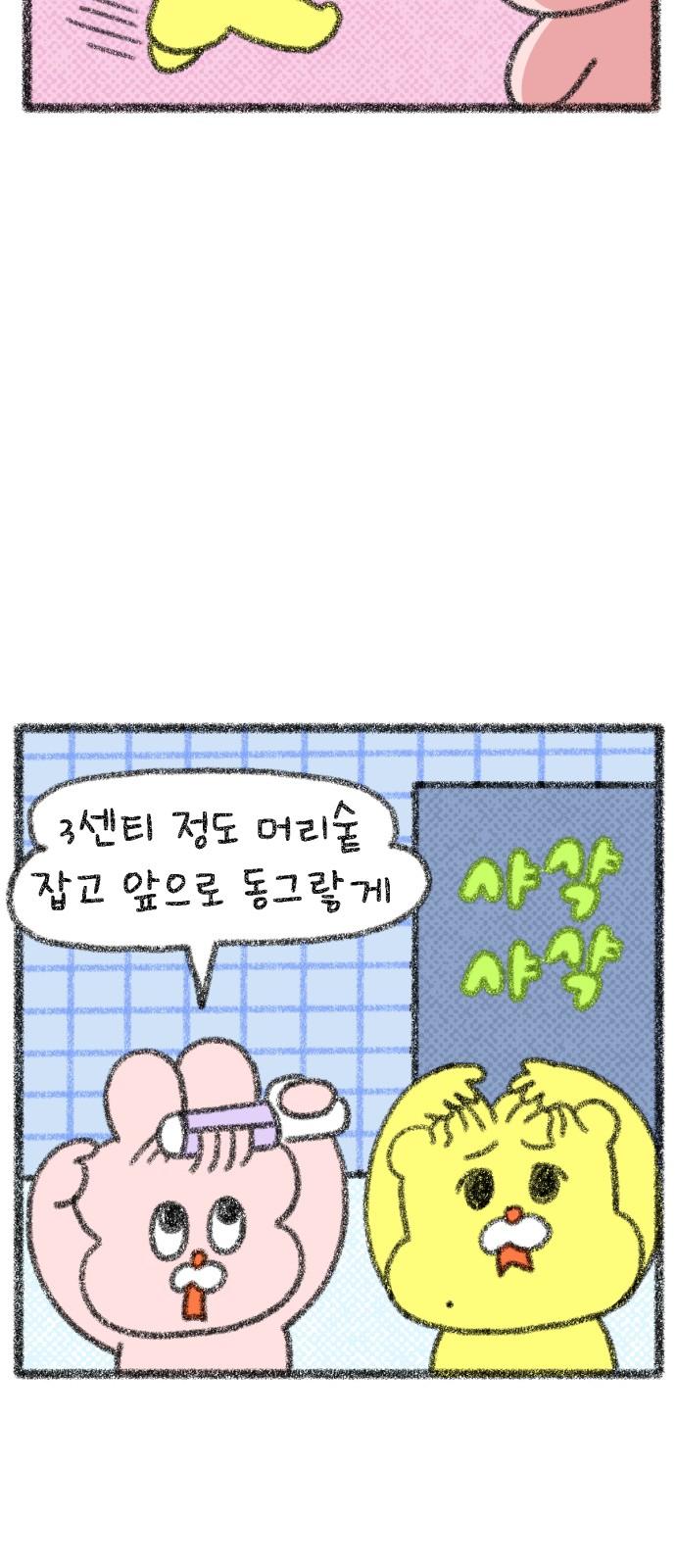 174476047621185aywz4t9jp.jpg