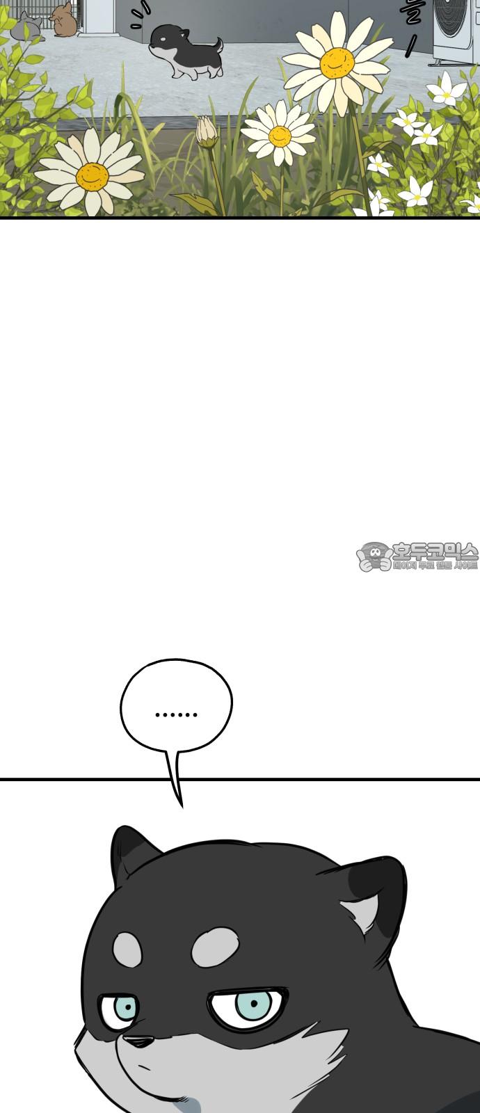 1745186833508oeqd6xcfue.jpg