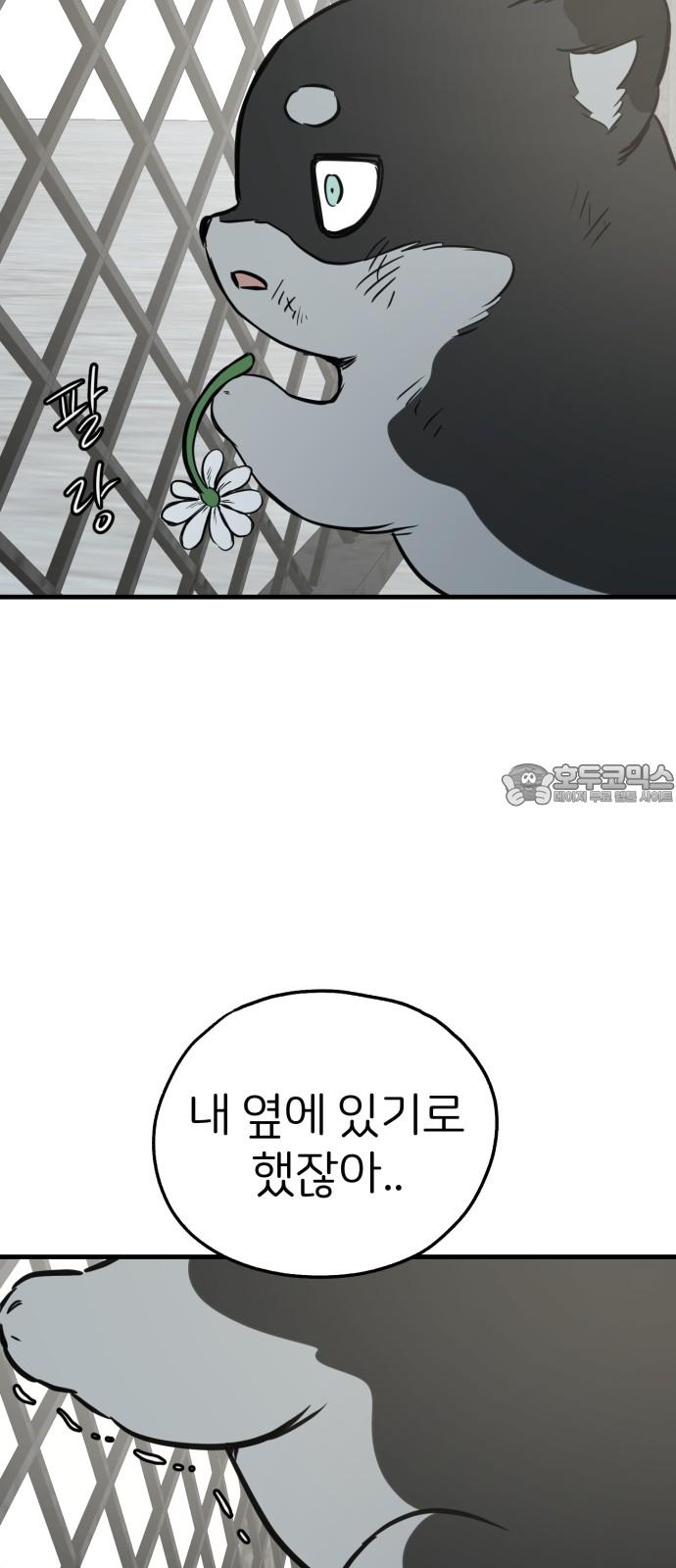 1745186835850z4gm2hzm1k.jpg