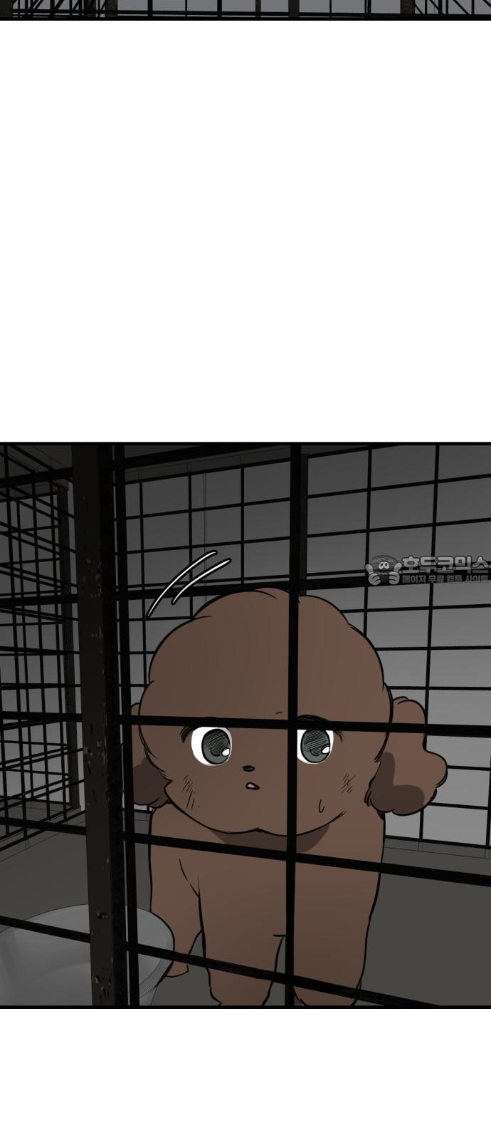 17451868408006aj6lzcadjb.jpg