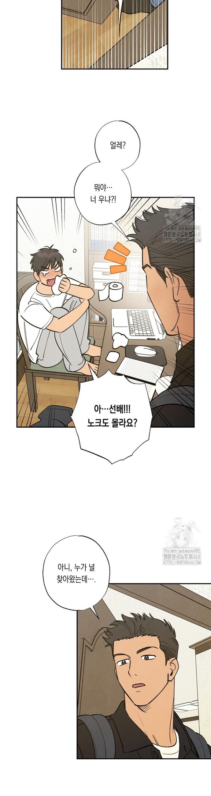 1745187358271xyry38wqged.jpg