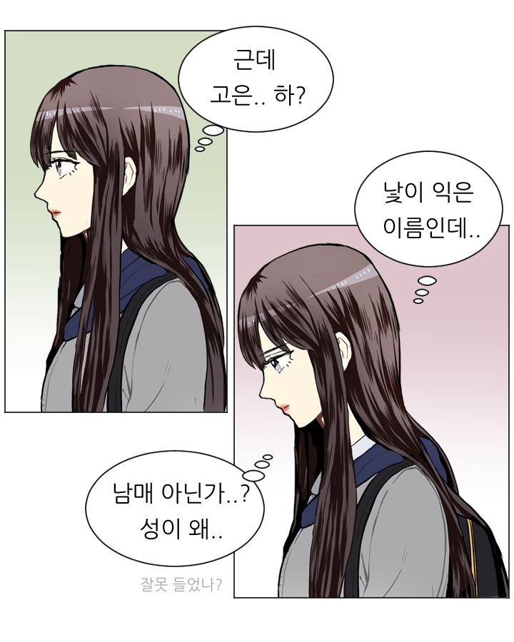 1745186703183esli6gpp3vh.jpg