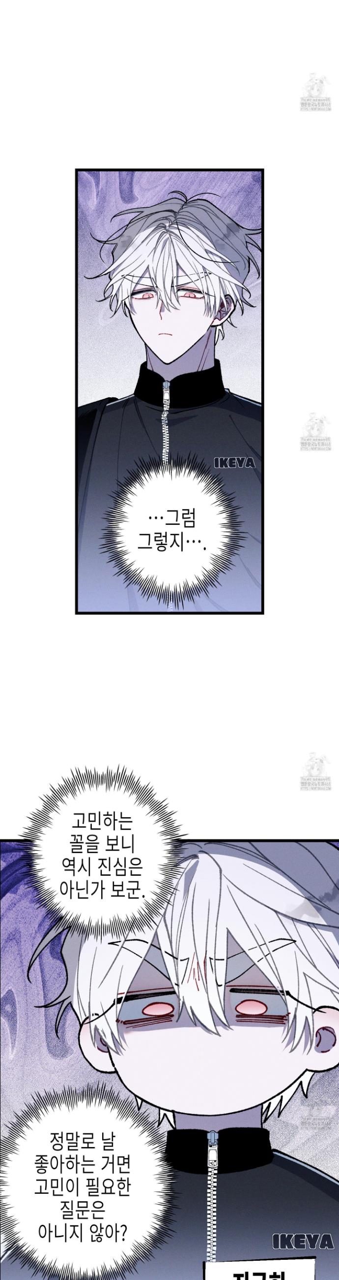 17452722513726koju6nwp.jpg
