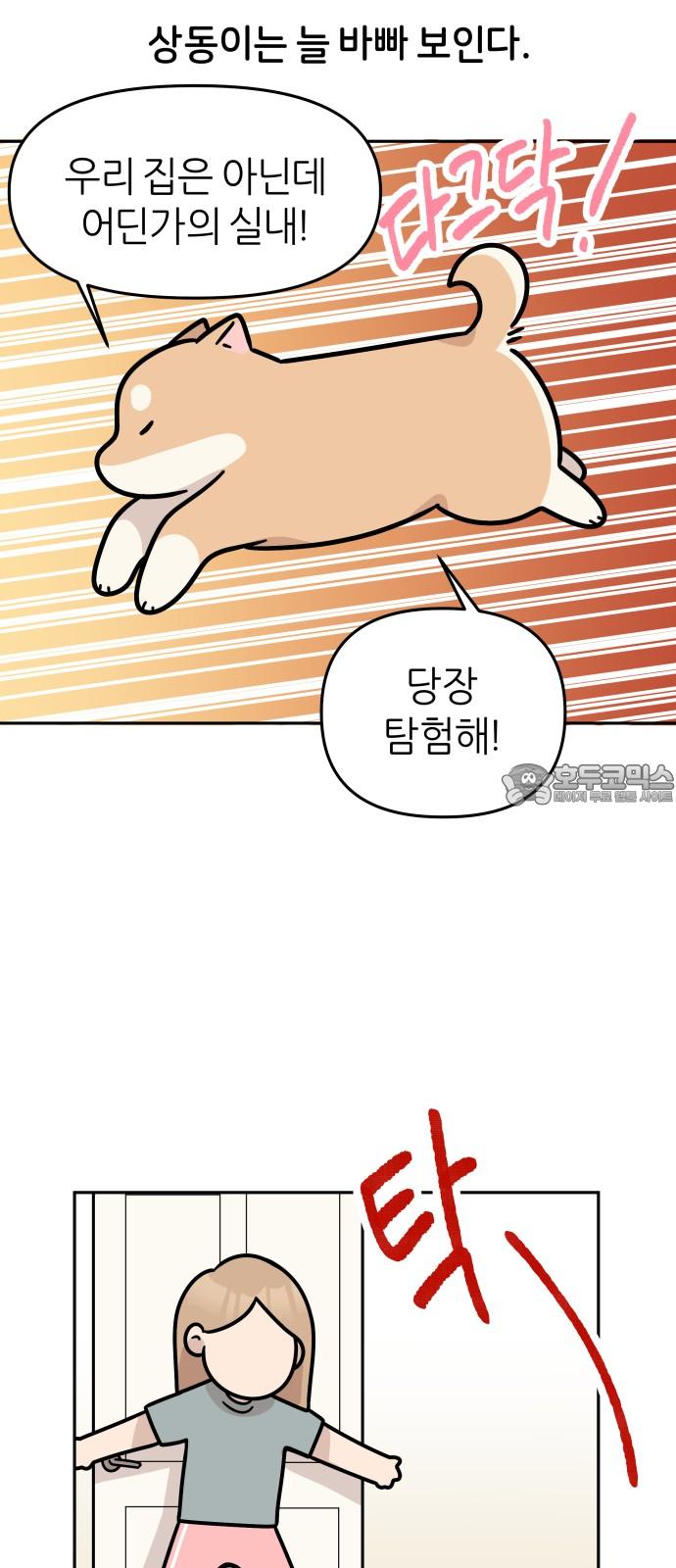 17453626633373kz9yfdpjm5.jpg