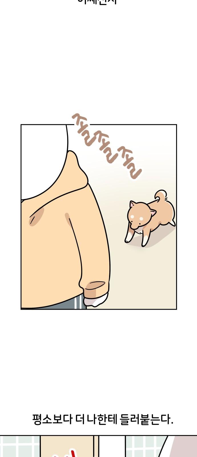 1745362669711c28dhnsyz4b.jpg