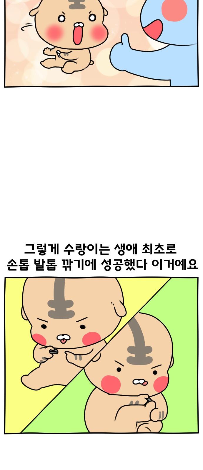 174550987089210g6joyg649.jpg