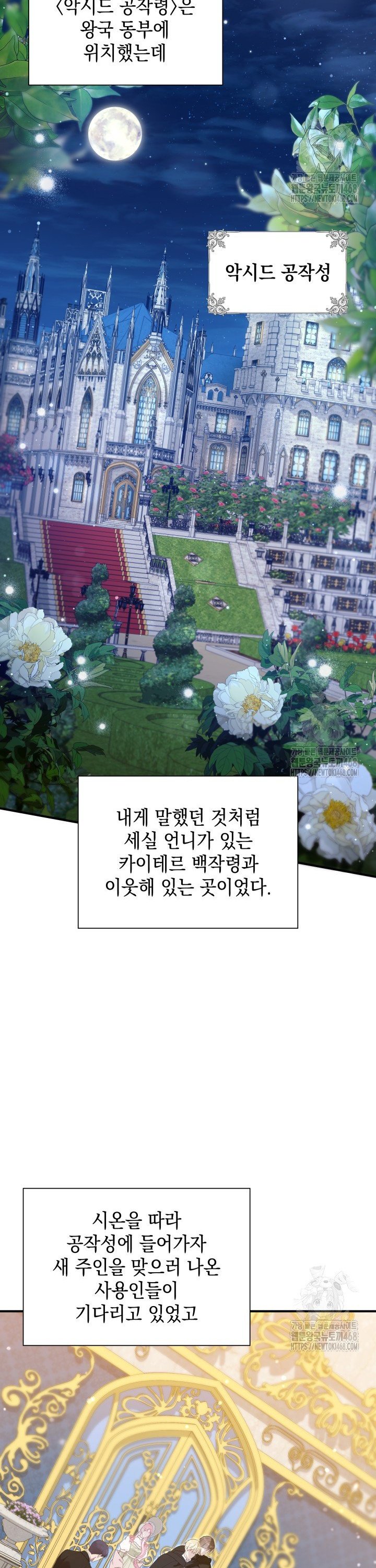 1745510223115ayorkc4157m.jpg