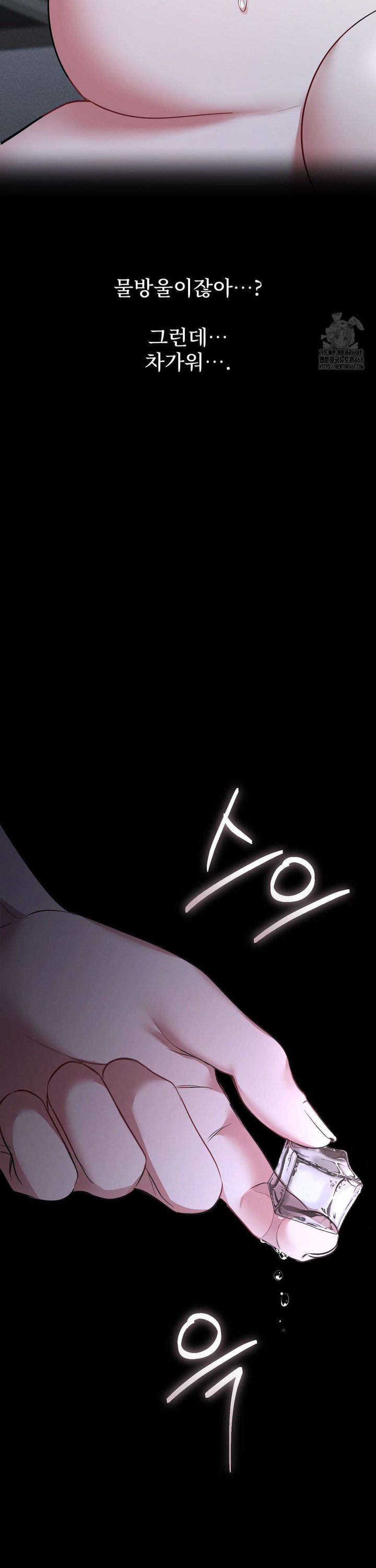 1743634259340xbyq8whnzsc.jpg