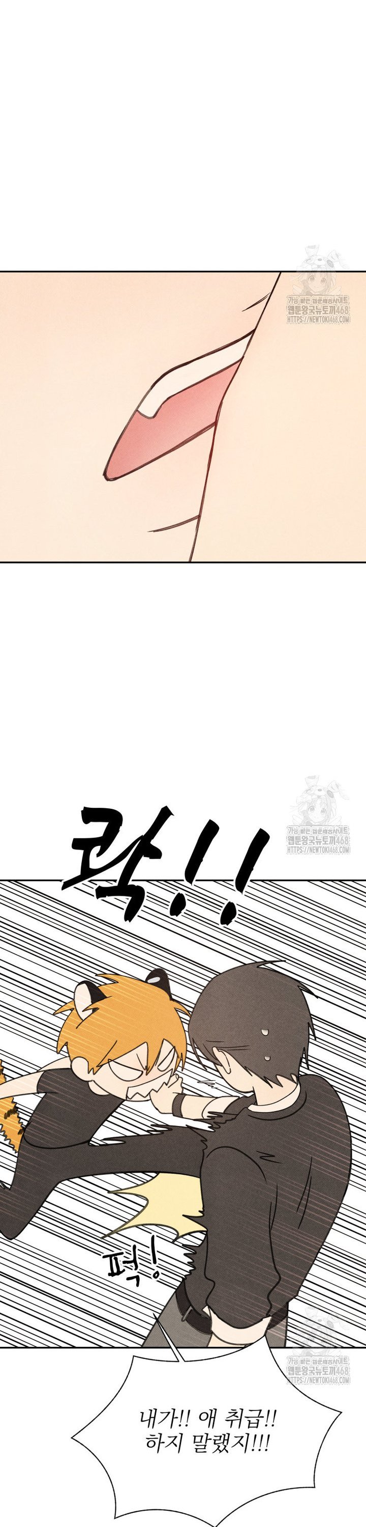 1743821484508seeblwxtfe.jpg