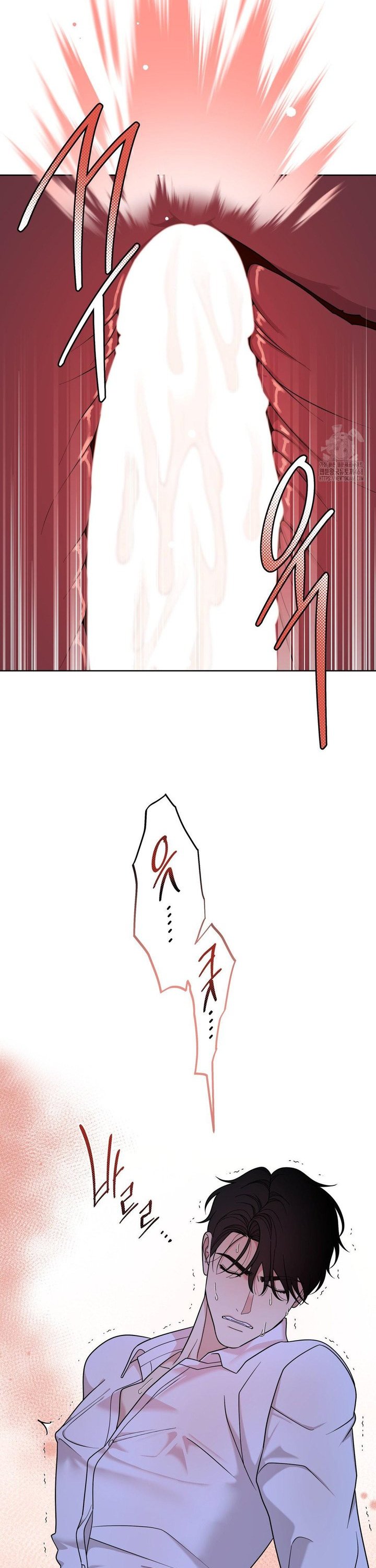 1743824159917x8hxvlyjedg.jpg