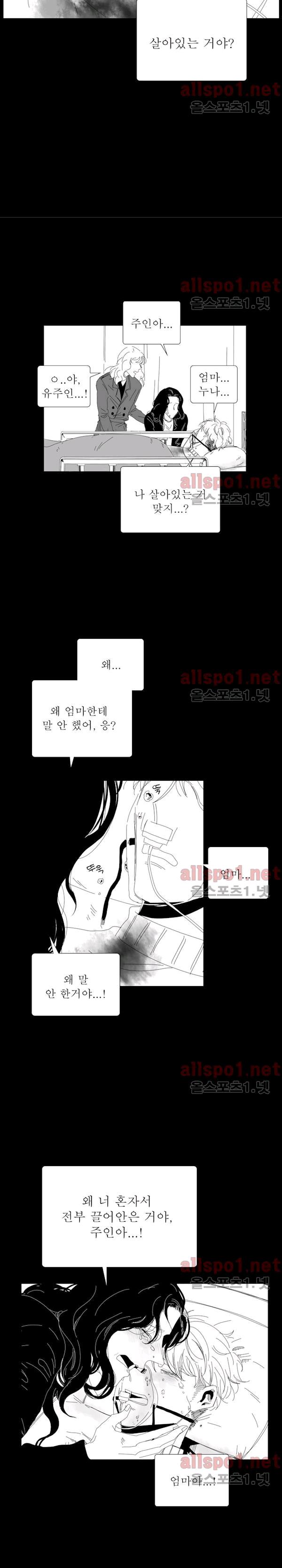 1743824429314tjo2wsc16m.jpg