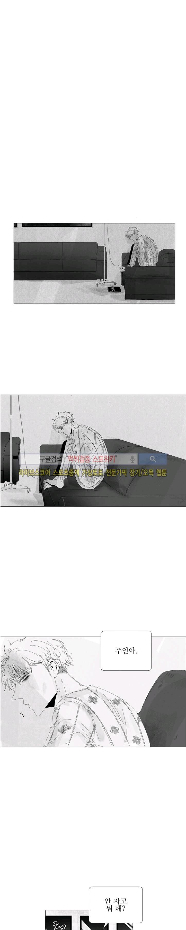 17438245325559zdueh80lht.jpg