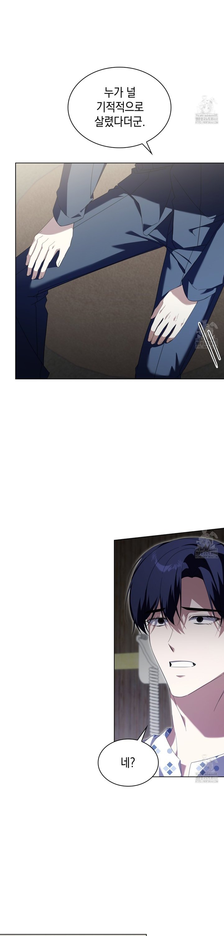 1743975647568x86nd7a532.jpg