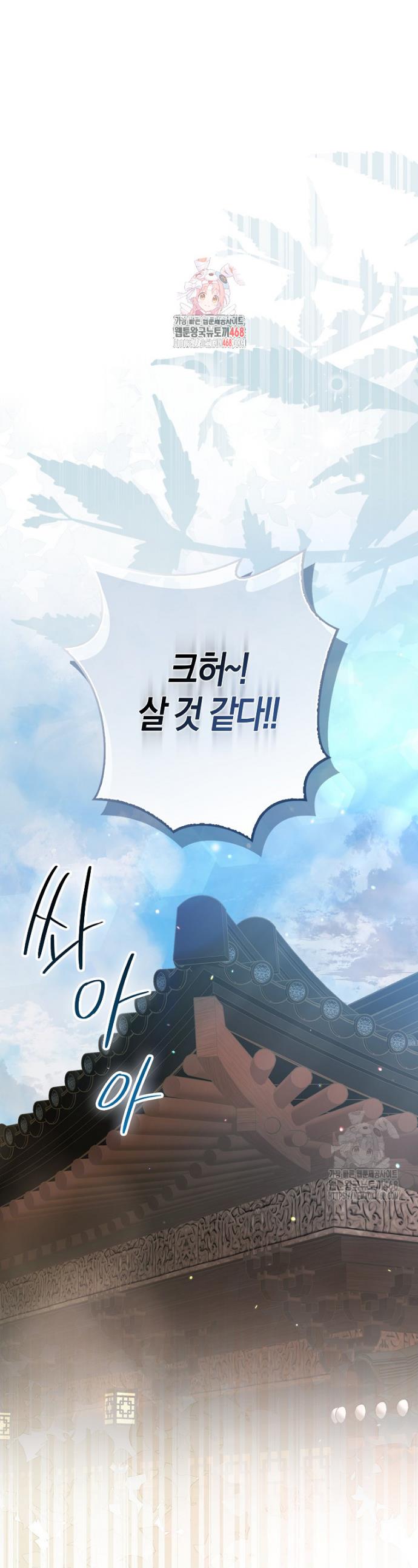 1743976030572xlipf24yc6.jpg