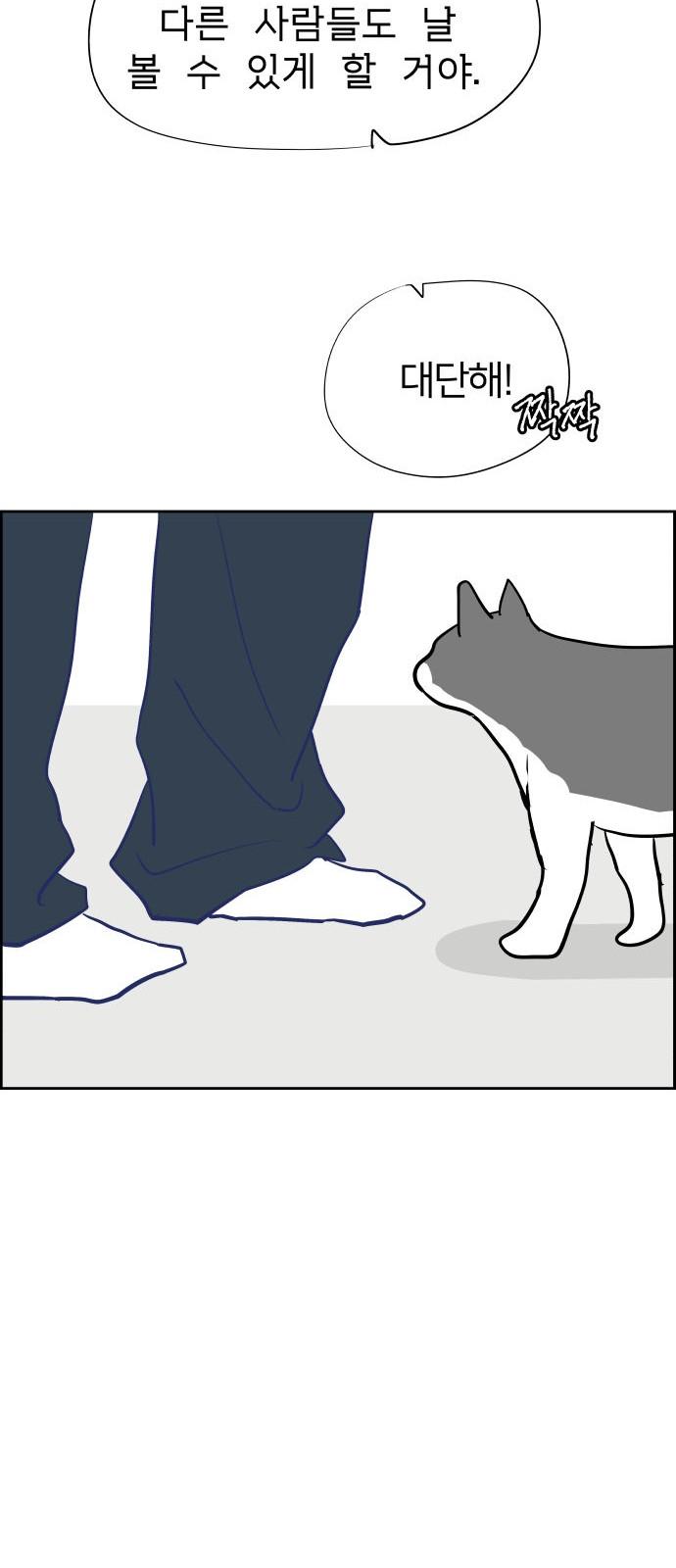 1743975705273dgnq3zjq0c.jpg