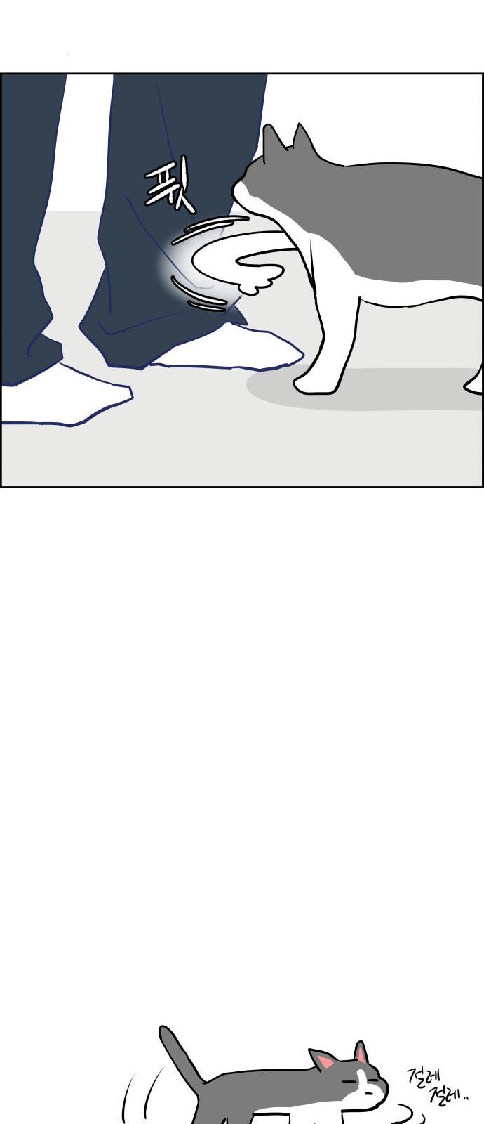 1743975705429nggw2b3zadi.jpg