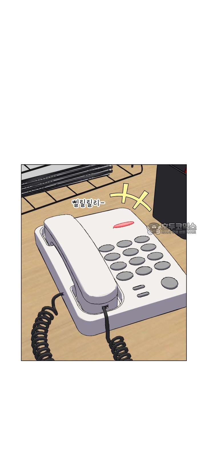 1744152222692ckxie29eli.jpg