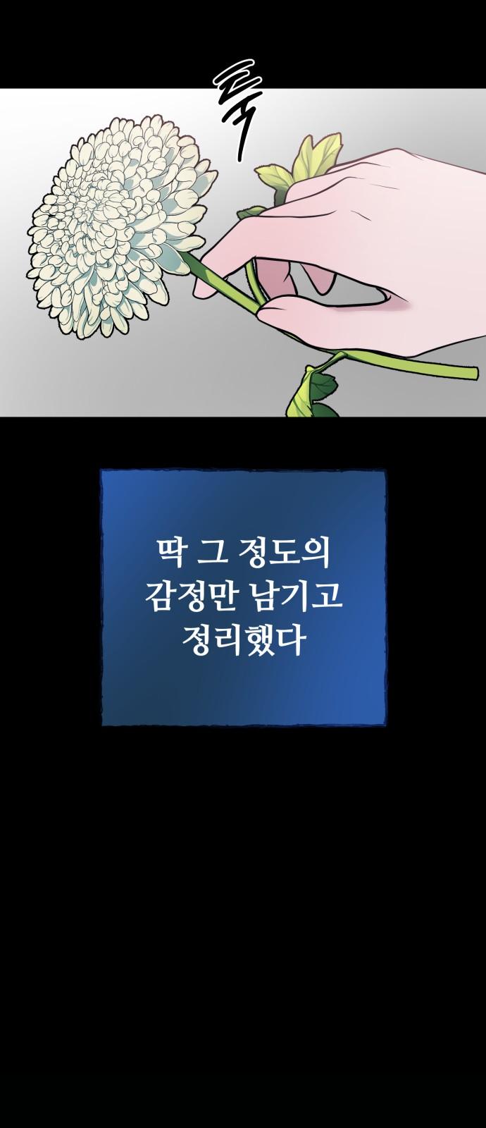 17441528223777t95cgggvkn.jpg
