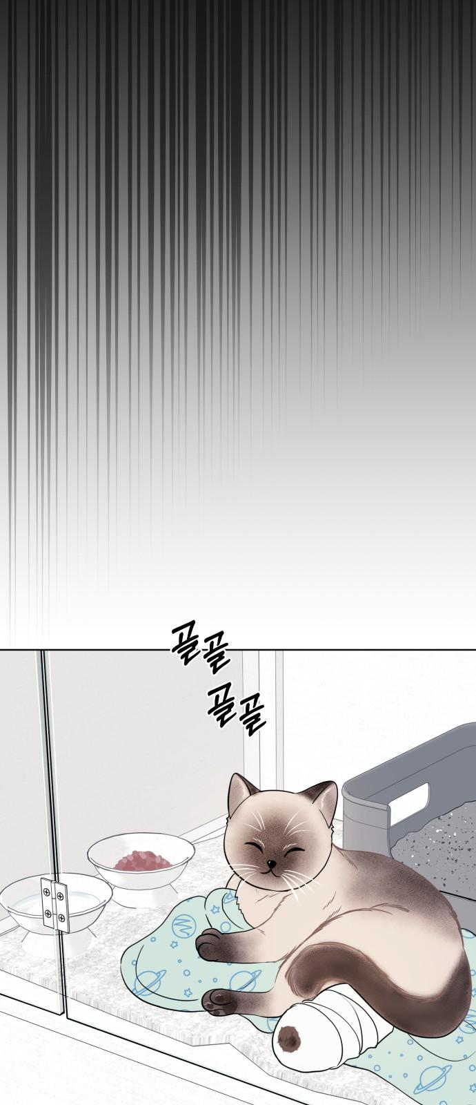 1744152840218o064kig7av.jpg
