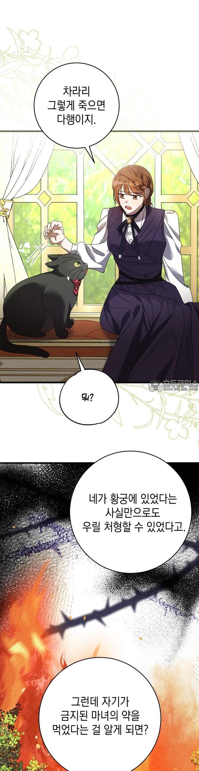 1744152921074h9pqojzzpof.jpg