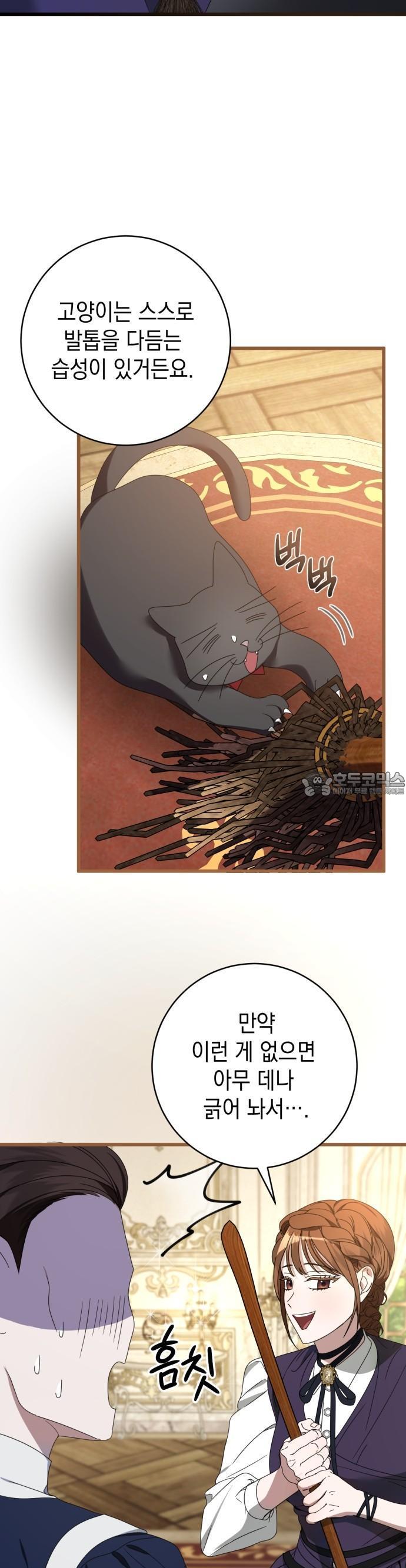 1744152925823v1g5nikni1a.jpg