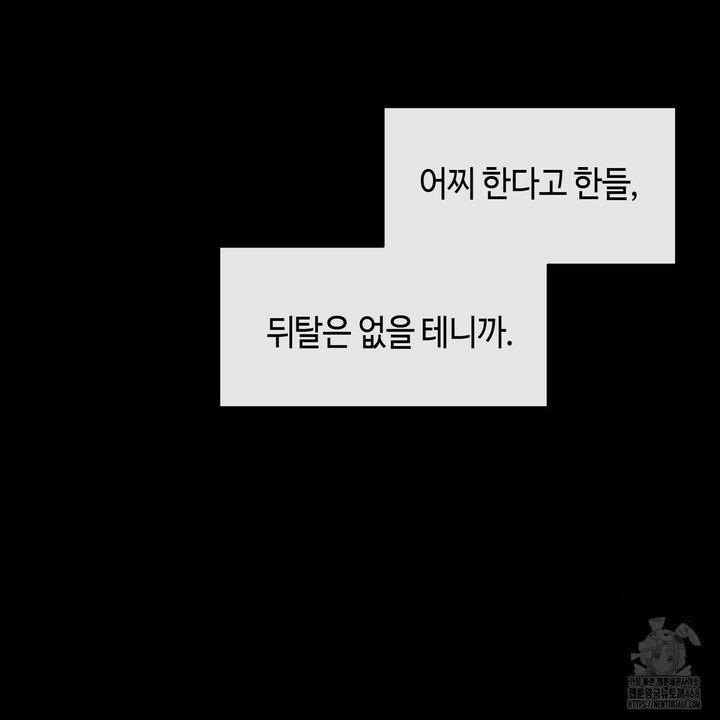 1744152104211iypdkdync2q.jpg