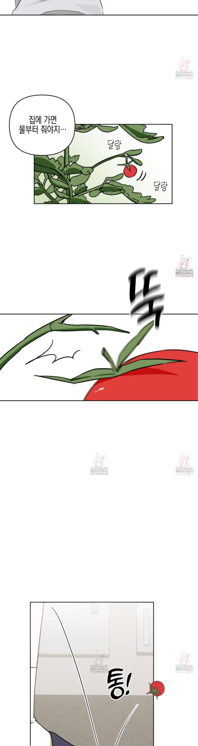 17460497762062wrflb0g9w7.jpg